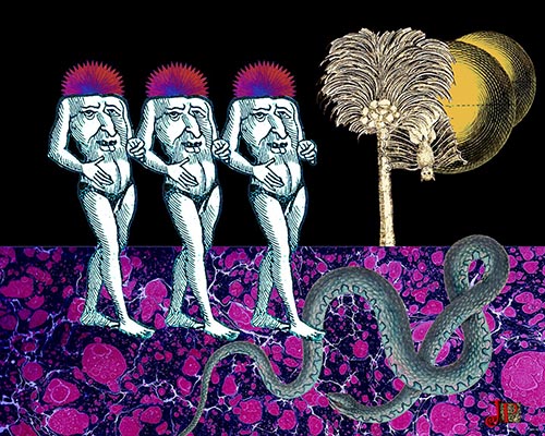 disconnection savage